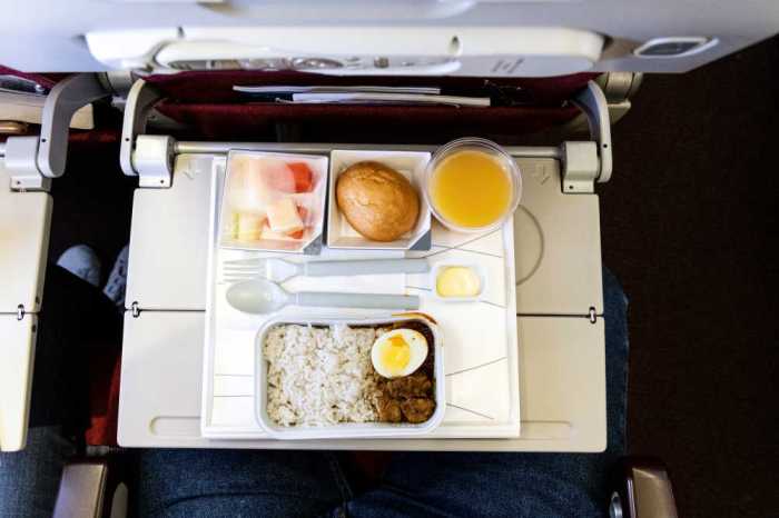 Meals budget flight meal airlines How to bring food on budget airlines